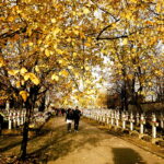 01.11.2018 Kielce. Wszystkich Świętych / Jarosław Kubalski / Radio Kielce