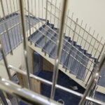 19.11.2018 Chęciny. Nowy żłobek i przedszkole "Królewski Raj Maluchów" / Jarosław Kubalski / Radio Kielce