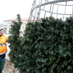 26.11.2018 Kielce. Pracownicy RPZ stawiają choinkę na Rynku / Jarosław Kubalski / Radio Kielce