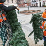 26.11.2018 Kielce. Pracownicy RPZ stawiają choinkę na Rynku / Jarosław Kubalski / Radio Kielce