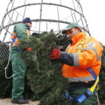 26.11.2018 Kielce. Pracownicy RPZ stawiają choinkę na Rynku / Jarosław Kubalski / Radio Kielce