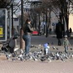 Spacer po Brześciu / Krzysztof Bujnowicz / Radio Kielce