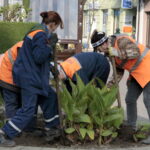 Spacer po Brześciu / Krzysztof Bujnowicz / Radio Kielce