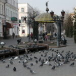 Spacer po Brześciu / Krzysztof Bujnowicz / Radio Kielce