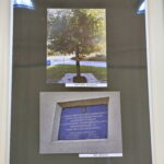 Wystawa fotografii "Legionowym Szlakiem Józefa Piłsudskiego z Krakowa do Kielc" w Ośrodku Kultury "Ziemowit" / Marzena Mąkosa / Radio Kielce