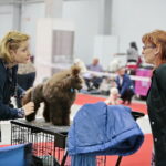 XV Międzynarodowa Wystawa Psów Rasowych / Marzena Mąkosa / Radio Kielce