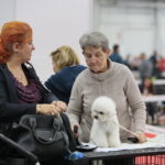 XV Międzynarodowa Wystawa Psów Rasowych / Marzena Mąkosa / Radio Kielce