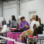 XV Międzynarodowa Wystawa Psów Rasowych / Marzena Mąkosa / Radio Kielce