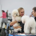 XV Międzynarodowa Wystawa Psów Rasowych / Marzena Mąkosa / Radio Kielce