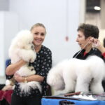 XV Międzynarodowa Wystawa Psów Rasowych / Marzena Mąkosa / Radio Kielce