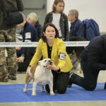 XV Międzynarodowa Wystawa Psów Rasowych / Marzena Mąkosa / Radio Kielce