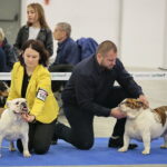 XV Międzynarodowa Wystawa Psów Rasowych / Marzena Mąkosa / Radio Kielce