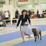 XV Międzynarodowa Wystawa Psów Rasowych / Marzena Mąkosa / Radio Kielce