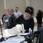 XV Międzynarodowa Wystawa Psów Rasowych / Marzena Mąkosa / Radio Kielce