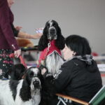 XV Międzynarodowa Wystawa Psów Rasowych / Marzena Mąkosa / Radio Kielce