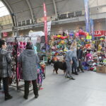 XV Międzynarodowa Wystawa Psów Rasowych / Marzena Mąkosa / Radio Kielce