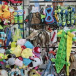 XV Międzynarodowa Wystawa Psów Rasowych / Marzena Mąkosa / Radio Kielce