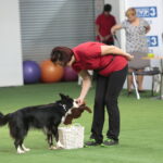 XV Międzynarodowa Wystawa Psów Rasowych / Marzena Mąkosa / Radio Kielce