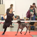 XV Międzynarodowa Wystawa Psów Rasowych / Marzena Mąkosa / Radio Kielce