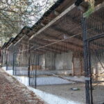 Ptasi Azyl. Ośrodek Pomocy Dzikim Zwierzętom / Marzena Mąkosa / Radio Kielce