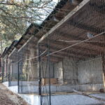 Ptasi Azyl. Ośrodek Pomocy Dzikim Zwierzętom / Marzena Mąkosa / Radio Kielce