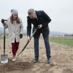 Sadzenie dębu przez Bogdana Wentę, prezydenta Kielc w Ogrodzie Botanicznym. Na zdjęciu: Katarzyna Socha - kierownik ogrodu i Bogdan Wenta - prezydent Kielc  / Marzena Mąkosa / Radio Kielce