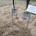 Sadzenie dębu przez Bogdana Wentę, prezydenta Kielc w Ogrodzie Botanicznym / Marzena Mąkosa / Radio Kielce