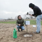 Sadzenie dębu przez Bogdana Wentę, prezydenta Kielc w Ogrodzie Botanicznym / Marzena Mąkosa / Radio Kielce