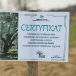 Sadzenie dębu przez Bogdana Wentę, prezydenta Kielc w Ogrodzie Botanicznym / Marzena Mąkosa / Radio Kielce