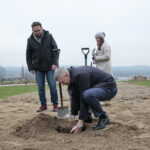 Sadzenie dębu przez Bogdana Wentę, prezydenta Kielc w Ogrodzie Botanicznym. Na zdjęciu: Bogdan Wenta - prezydent Kielc  / Marzena Mąkosa / Radio Kielce