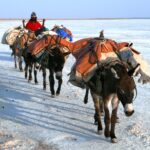 Etiopia północna / Danuta Rasała