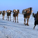 Etiopia północna / Danuta Rasała