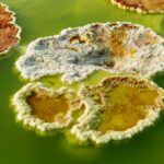 Etiopia północna / Danuta Rasała