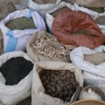 Etiopia północna / Danuta Rasała