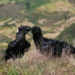 Etiopia północna / Danuta Rasała