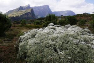 Etiopia północna / Danuta Rasała