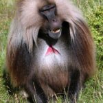 Etiopia północna / Danuta Rasała