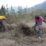 Etiopia północna / Danuta Rasała