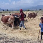 Etiopia północna / Danuta Rasała