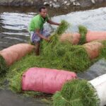 Etiopia północna / Danuta Rasała