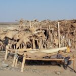 Etiopia północna / Danuta Rasała