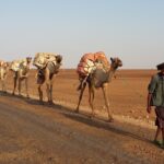 Etiopia północna / Danuta Rasała