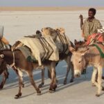 Etiopia północna / Danuta Rasała