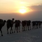 Etiopia północna / Danuta Rasała