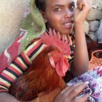 Etiopia północna / Danuta Rasała