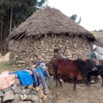 Etiopia północna / Danuta Rasała