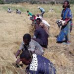 Etiopia północna / Danuta Rasała