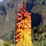 Etiopia północna / Danuta Rasała