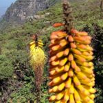 Etiopia północna / Danuta Rasała