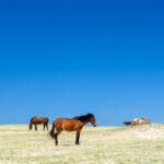 Autor pracy: Łukasz Kasperek